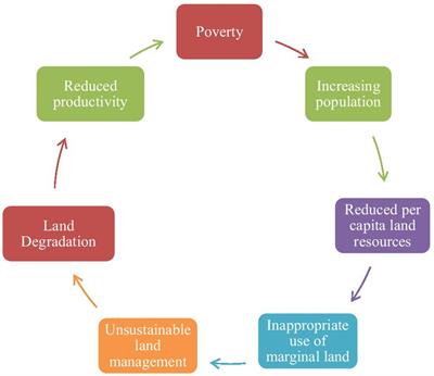 Degraded land rehabilitation through agroforestry in India: Achievements, current understanding, and future prospectives